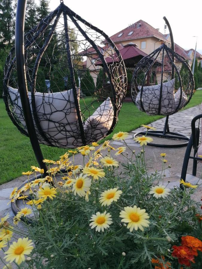 Apartmani Nika Zlatibor Extérieur photo