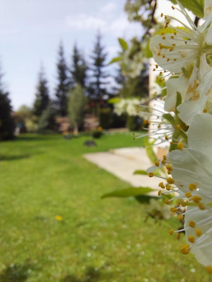 Apartmani Nika Zlatibor Extérieur photo
