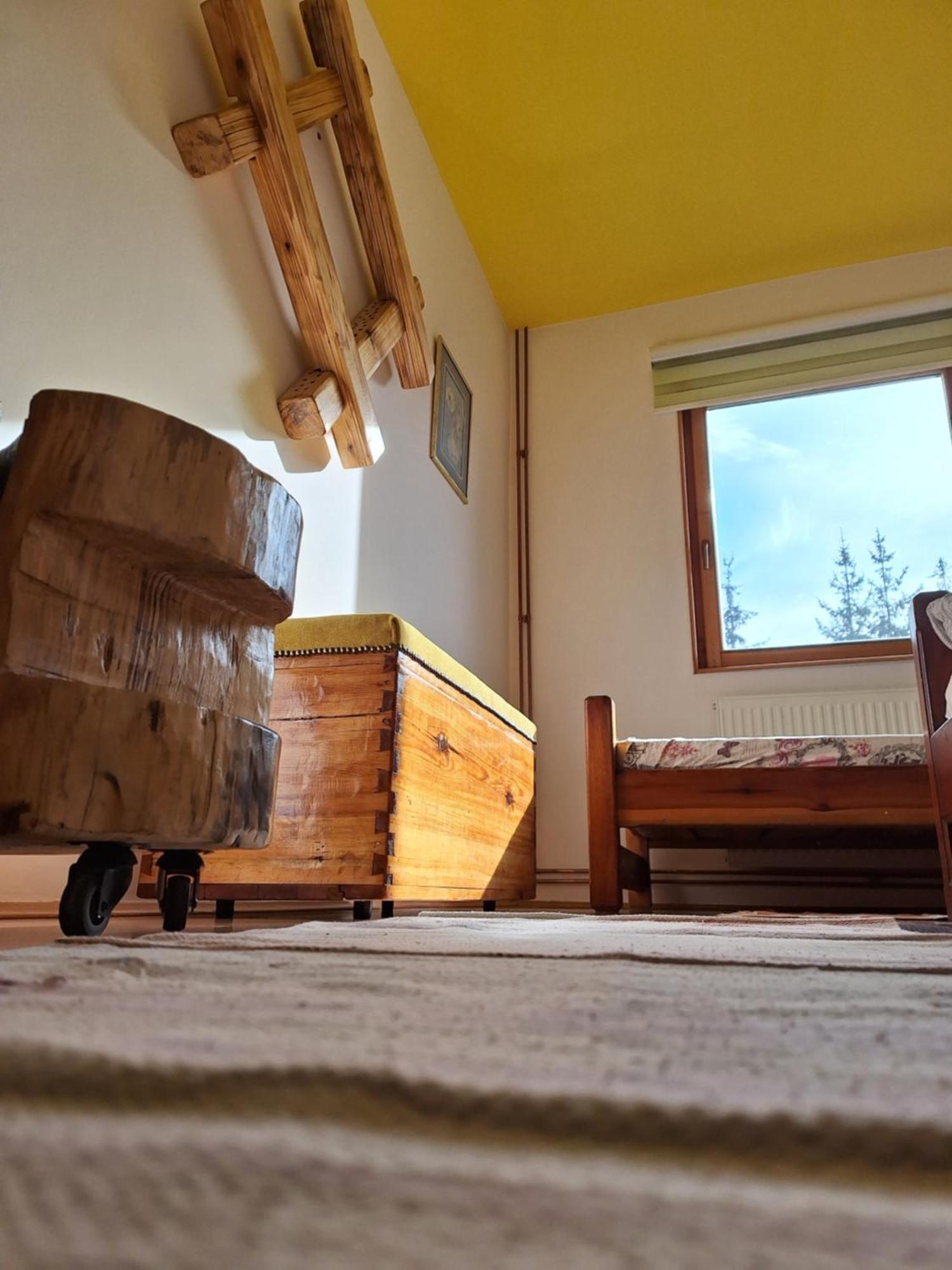 Apartmani Nika Zlatibor Extérieur photo