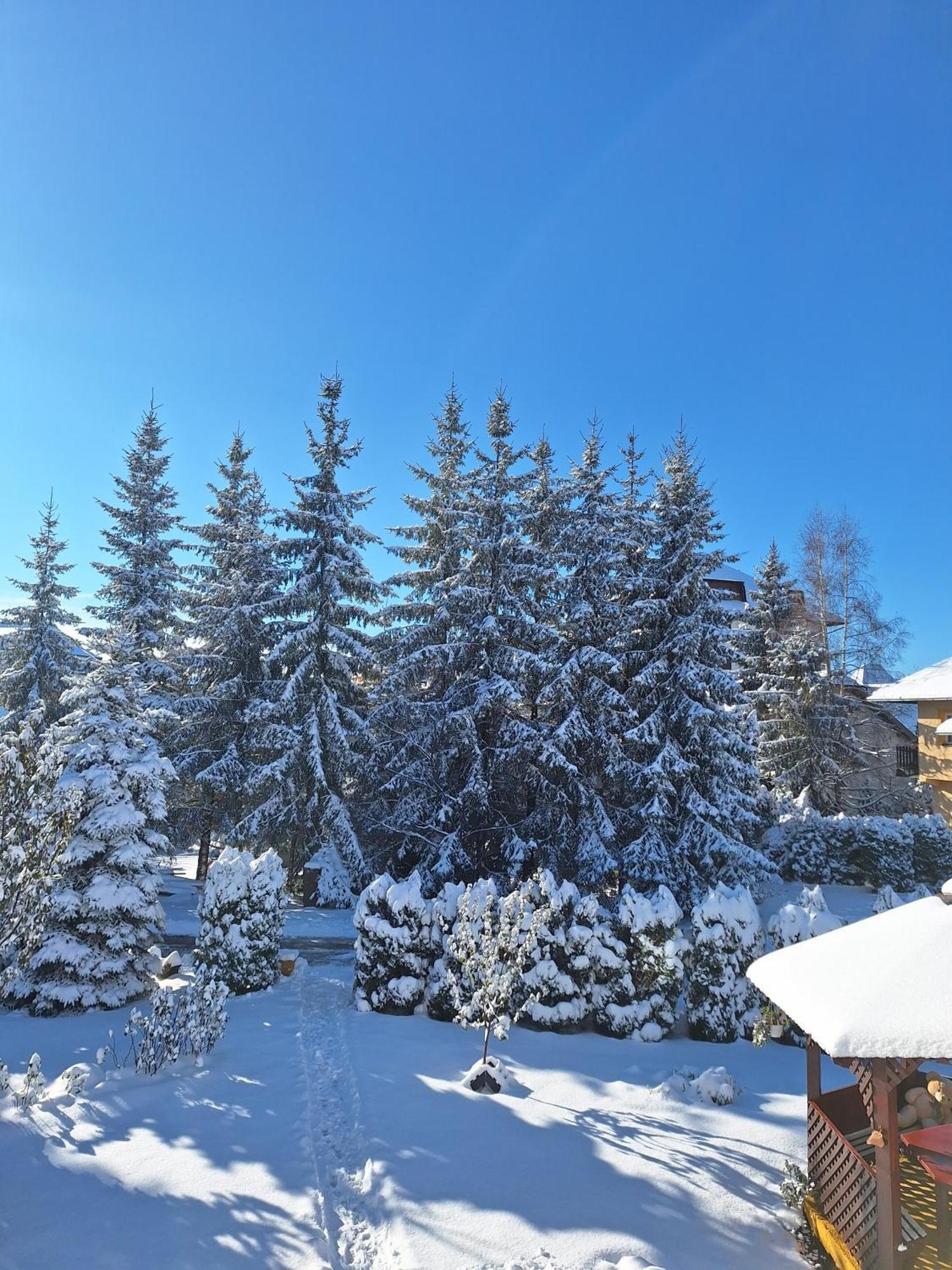 Apartmani Nika Zlatibor Extérieur photo