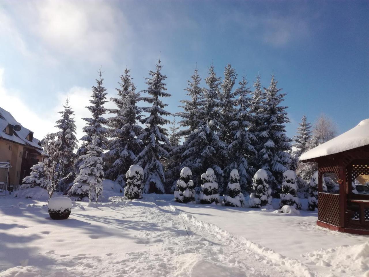 Apartmani Nika Zlatibor Extérieur photo